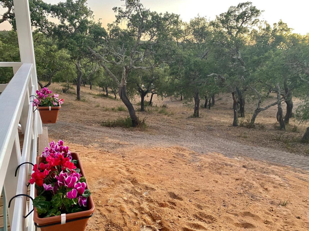 בית הארחה מלידס 	Montum Farm Living מראה חיצוני תמונה
