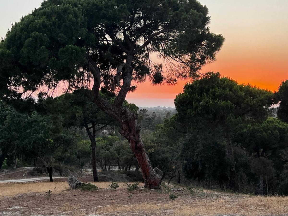 בית הארחה מלידס 	Montum Farm Living מראה חיצוני תמונה
