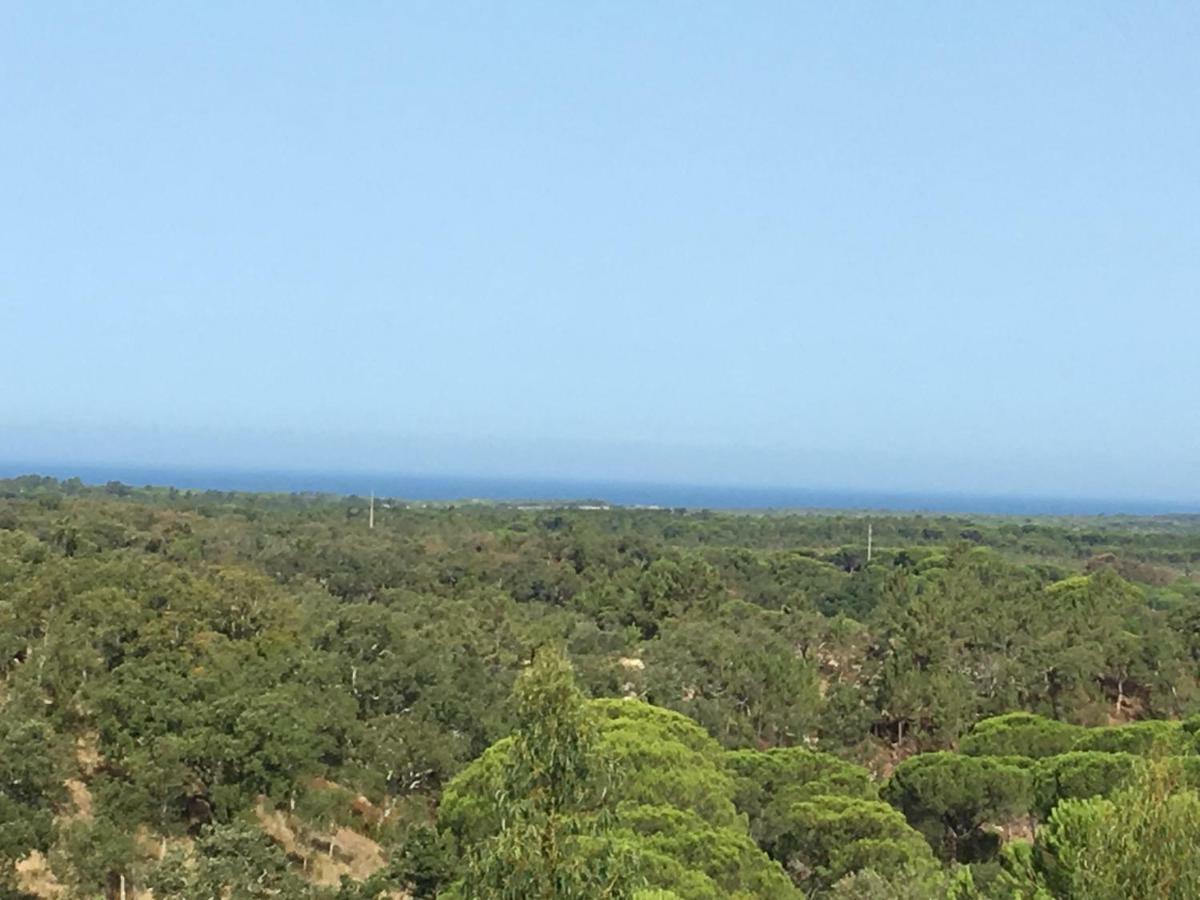בית הארחה מלידס 	Montum Farm Living מראה חיצוני תמונה